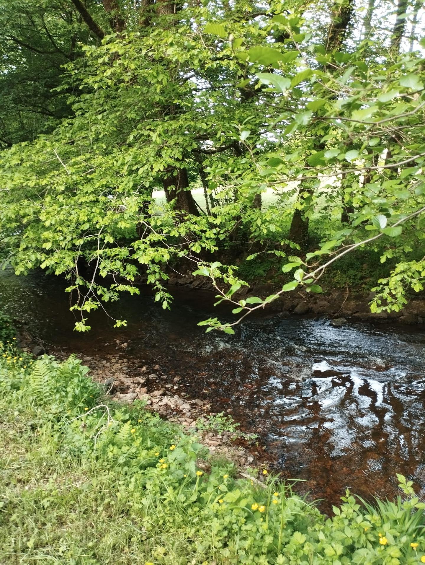 GreenGo location vacances écoresponsables