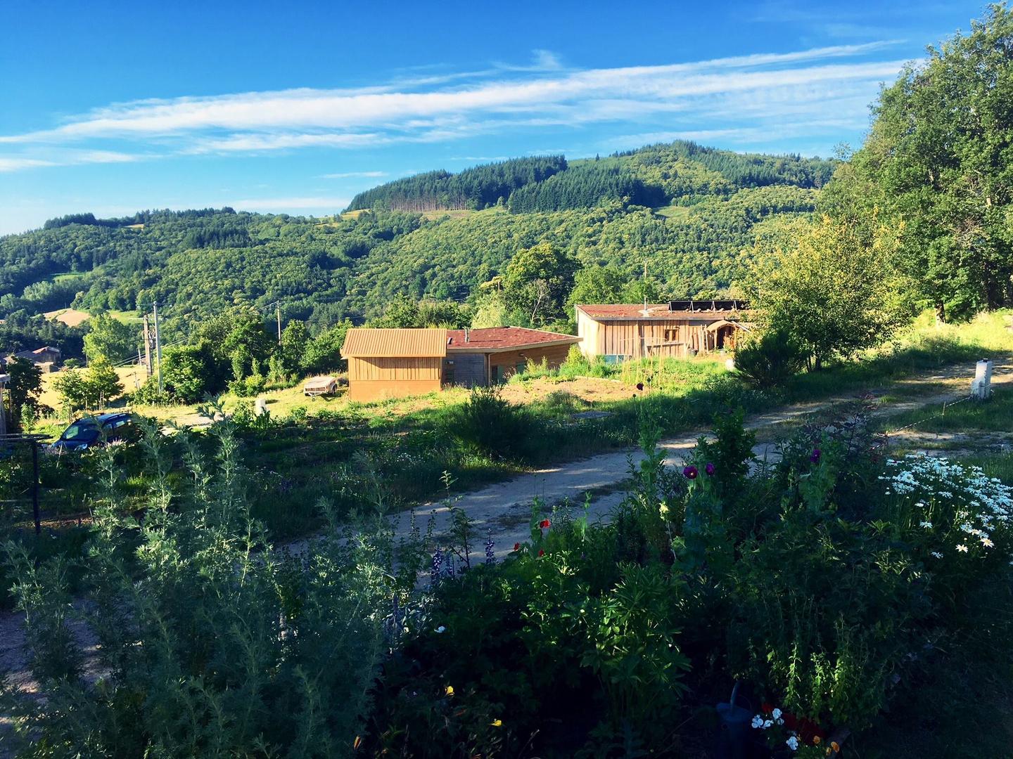 Carte cadeau GreenGo