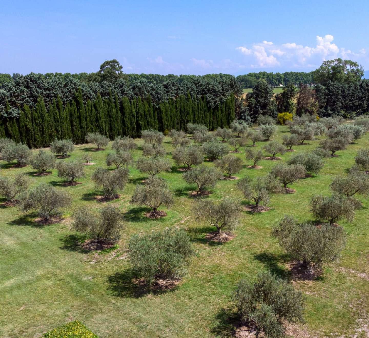 GreenGo location vacances écoresponsables