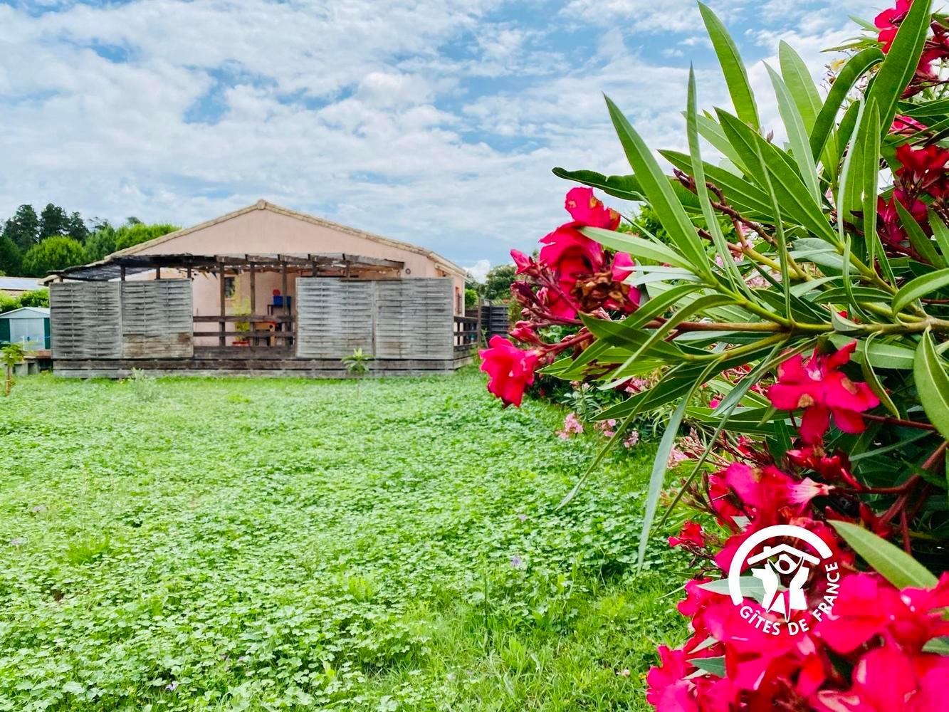 Carte cadeau GreenGo