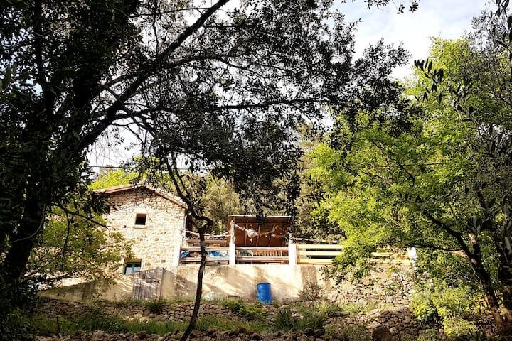 Hôte GreenGo: Petit refuge perché dans la forêt des Monts d'Ardèche - Image 2