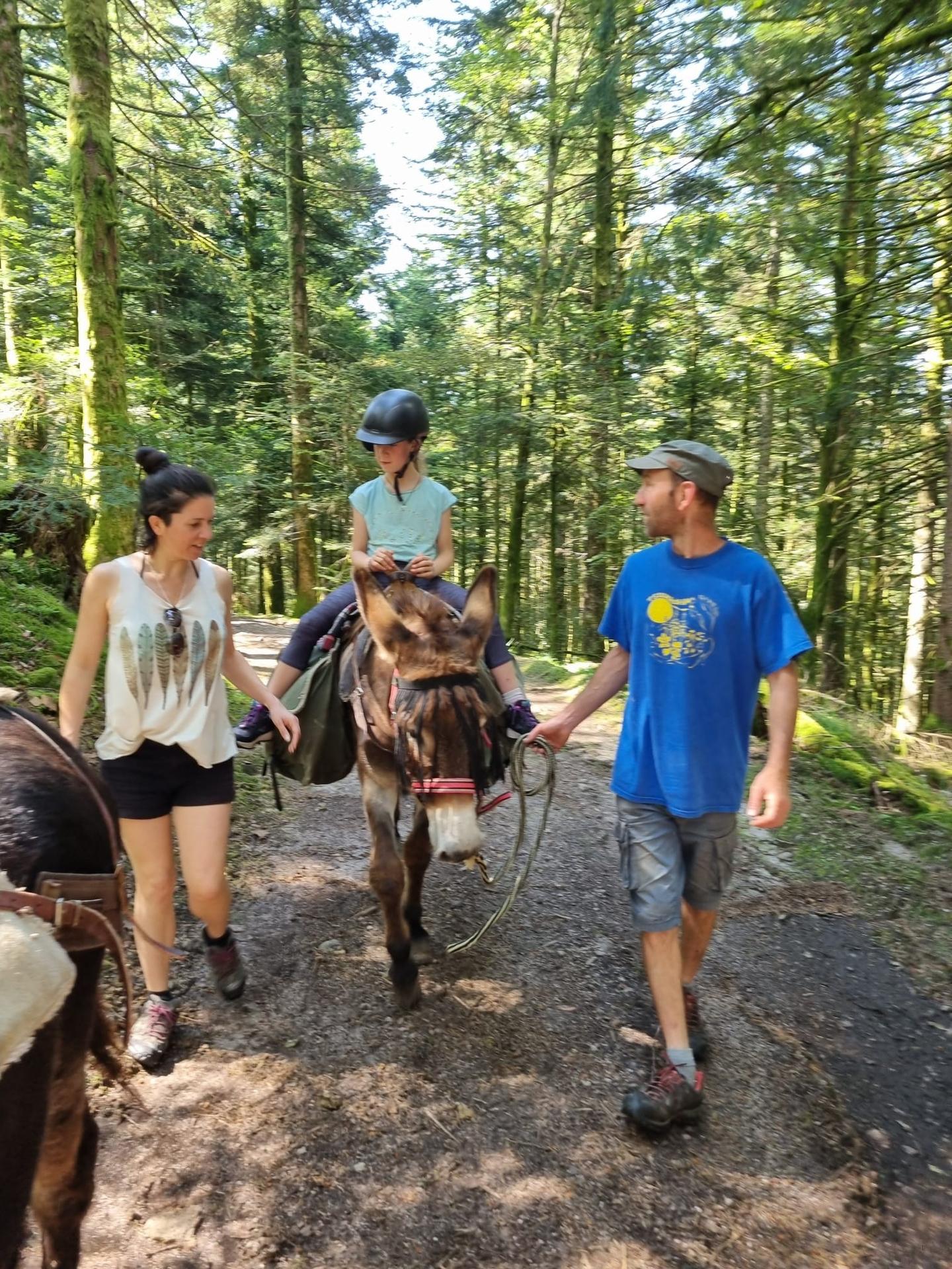 GreenGo Gîte Grand Est À la montagne
