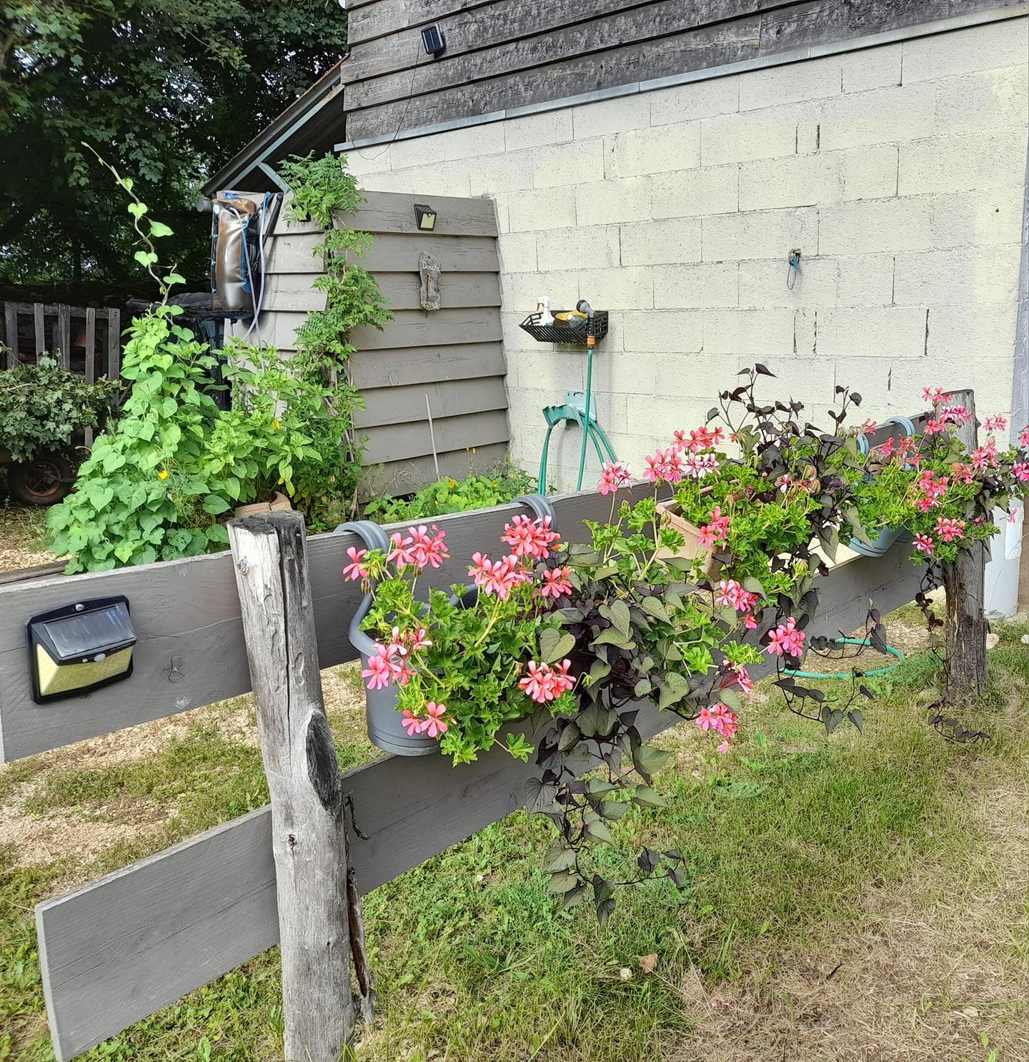 GreenGo Chambre D'Hotes Camp de Trejou-Amis Cavaliers et Randonneurs