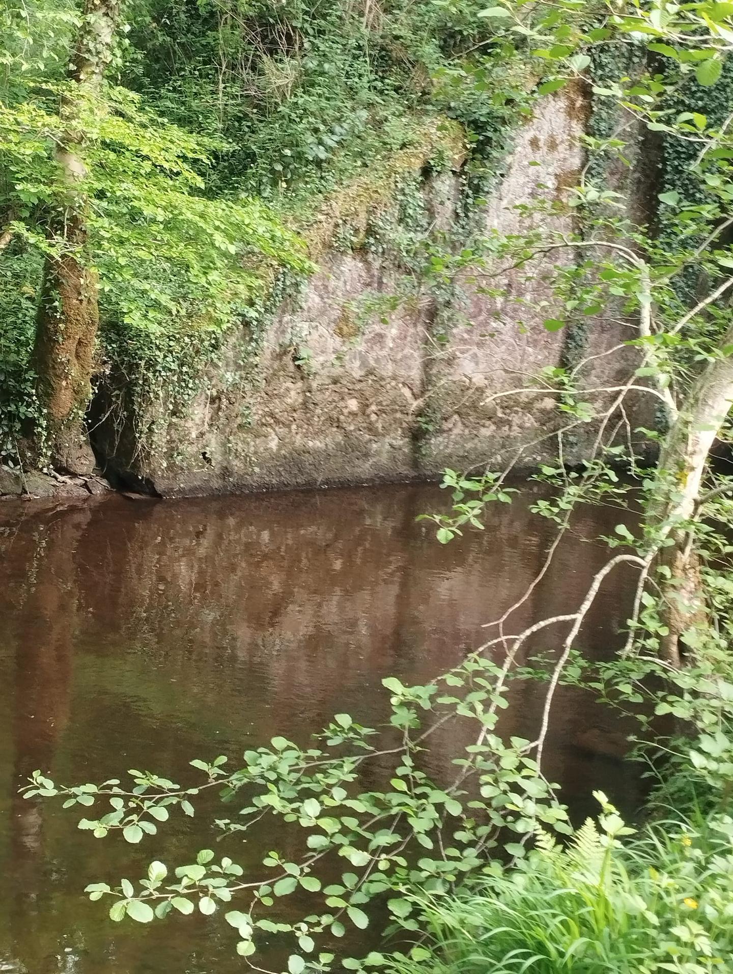 Location Corrèze En forêt