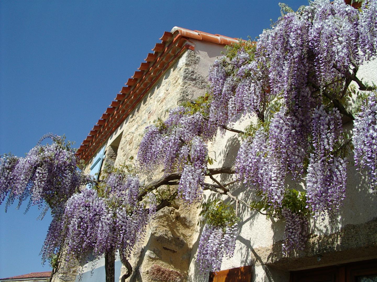 GreenGo location vacances écoresponsables