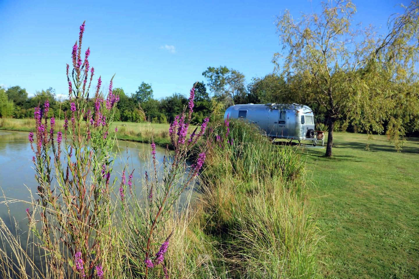 Hôte GreenGo: Caravane AIRSTREAM au bord du Lac - Image 9