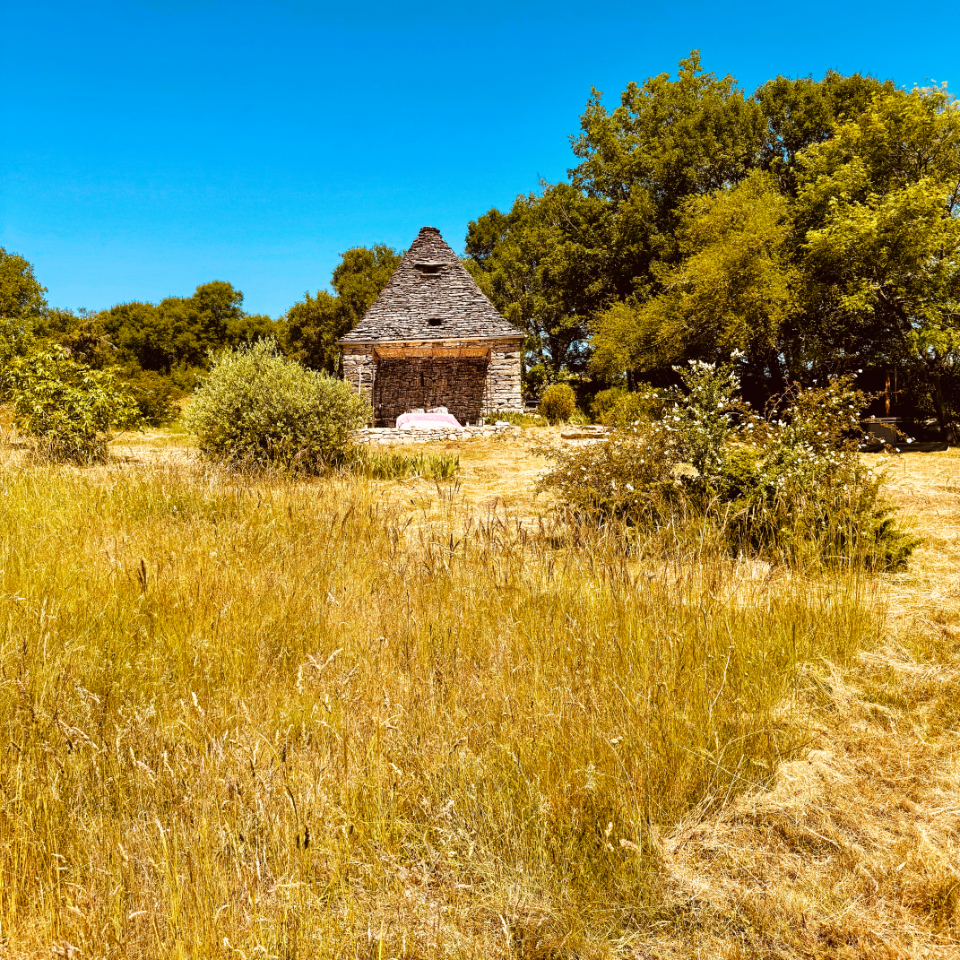 GreenGo location vacances écoresponsables