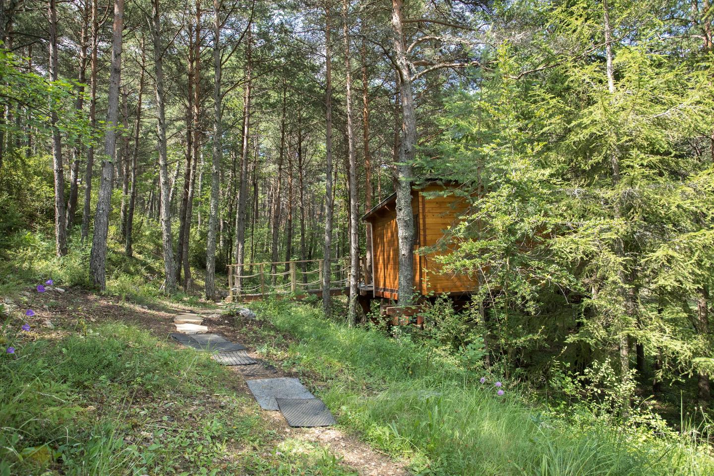 GreenGo La Cabane perchée dans les arbres