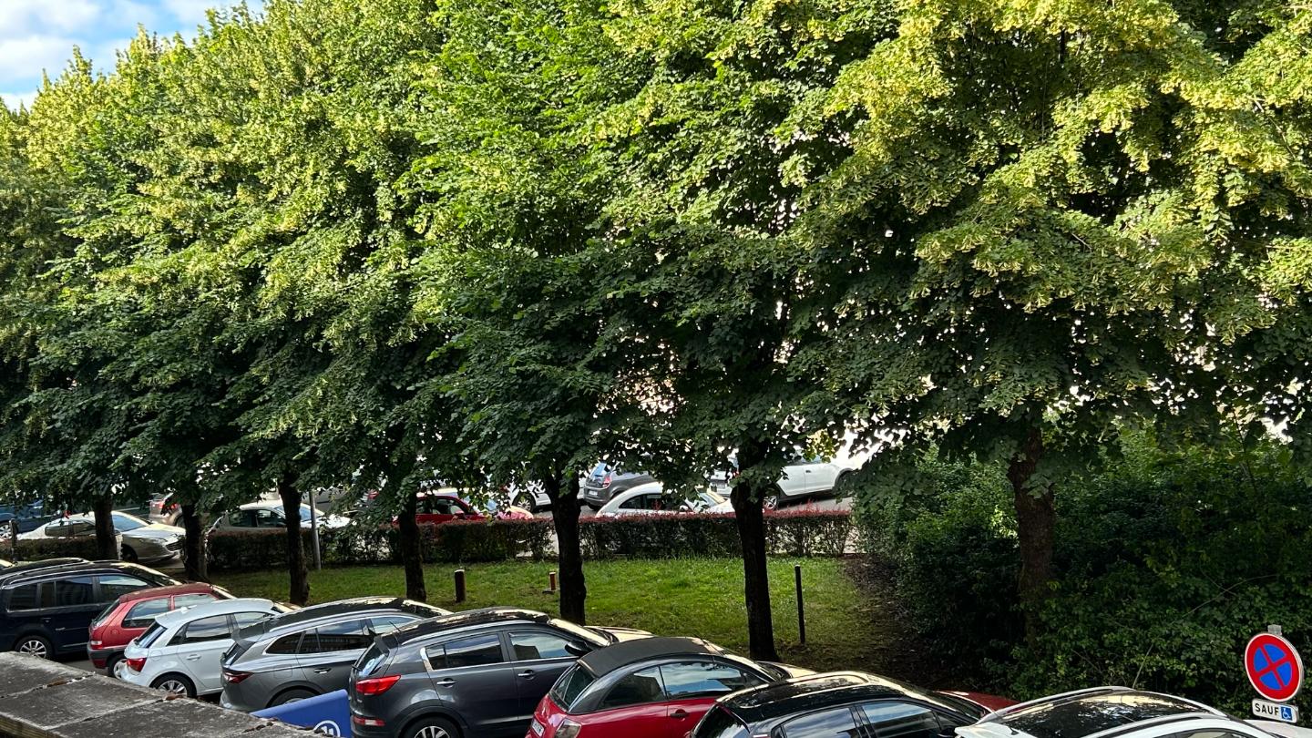 Ardennes En ville