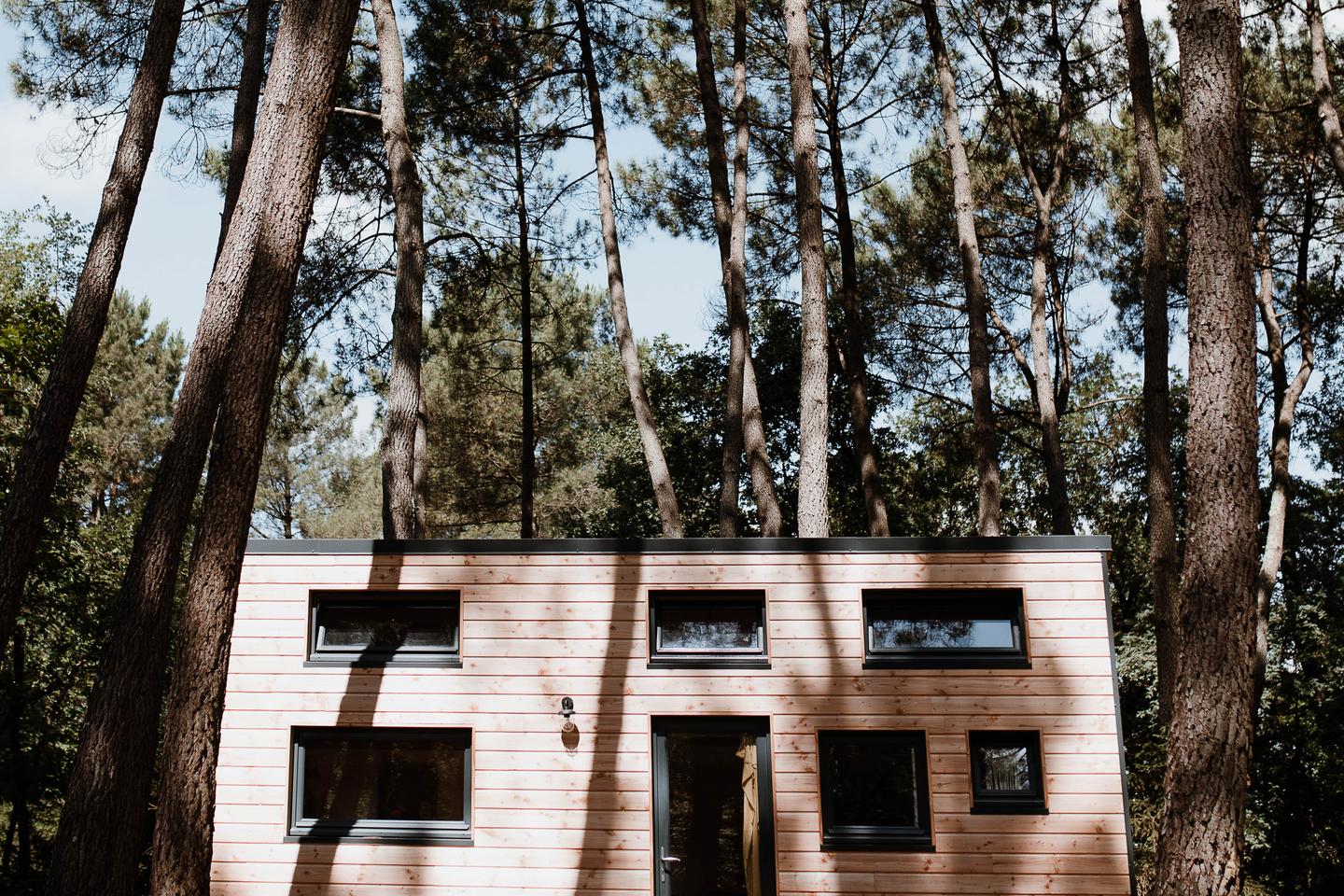 Logement GreenGo: Tiny house - La Quetsche - Image 4