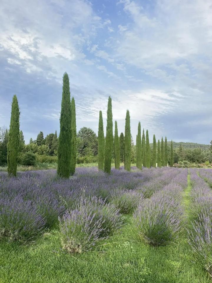 GreenGo Le Mas des Costes