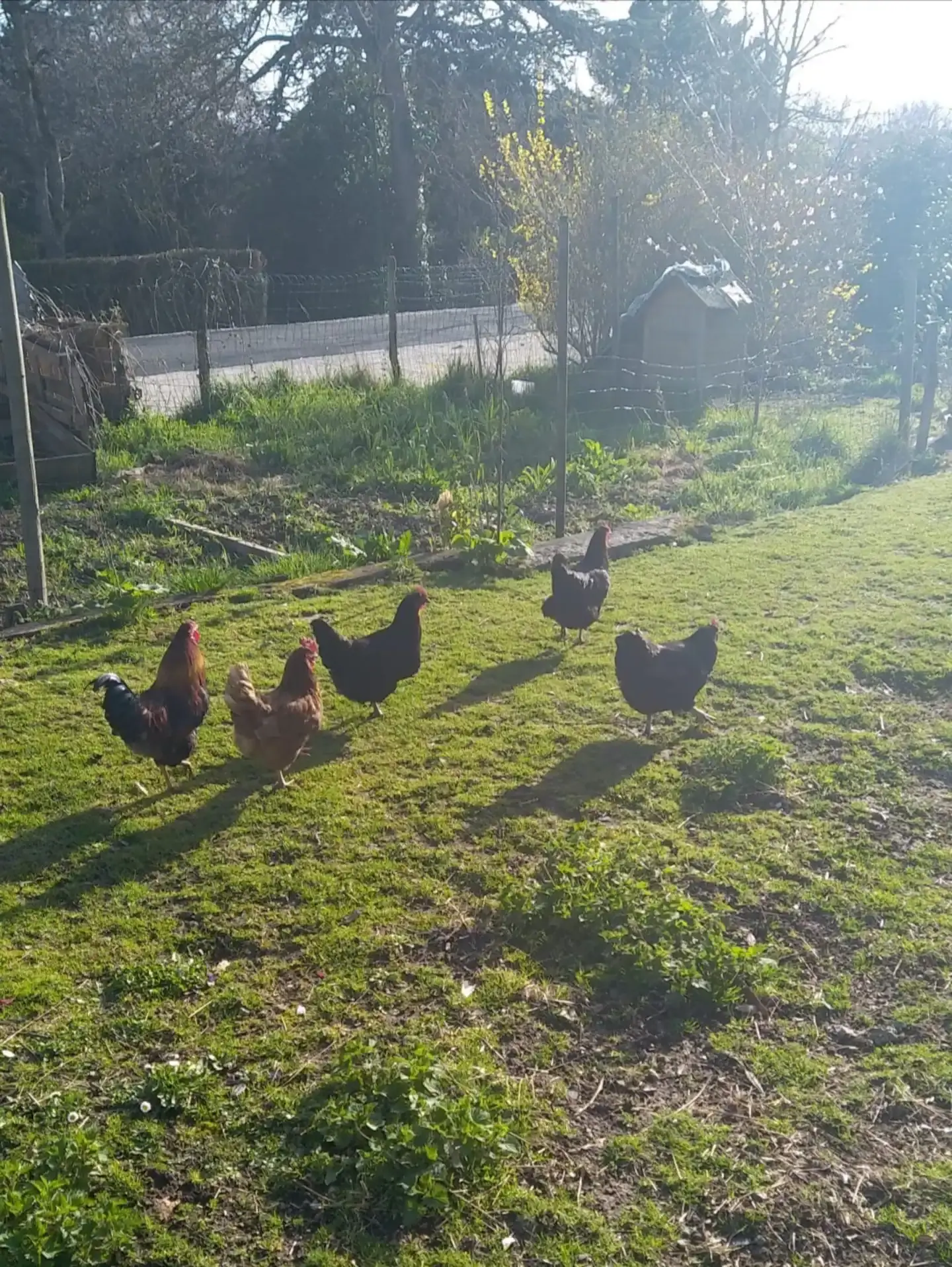 Hôte GreenGo: "Gîte Saint Michel"  jolie maison de village de Touraine - Image 19