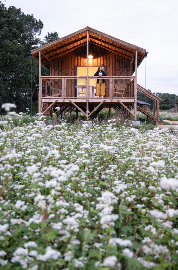 Logement GreenGo: L'écolodge Drenec : petite maison dans la prairie. - Image 5