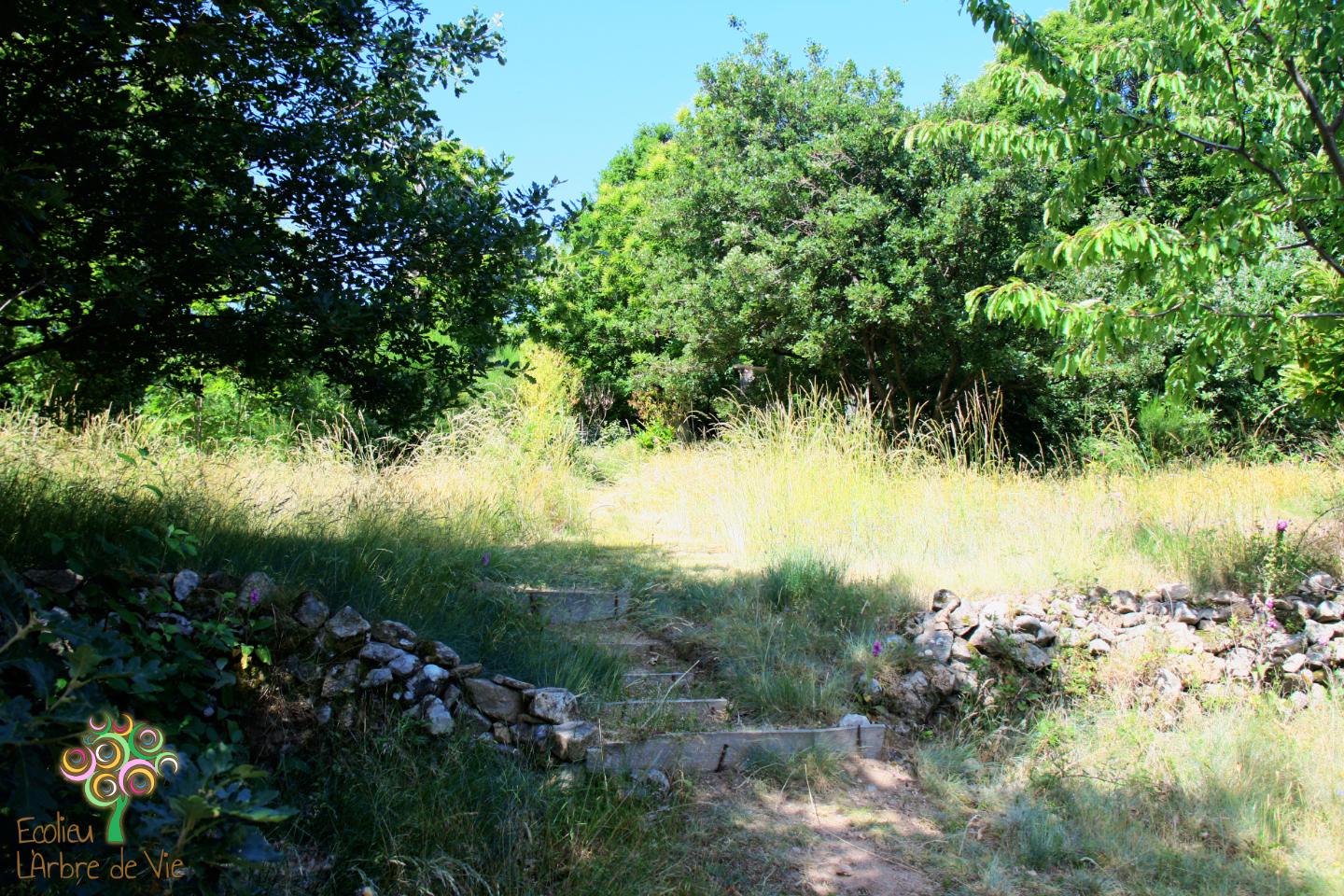 Logement GreenGo: Emplacement de camping en pleine nature d'un écolieu en montagne du Sud Ardèche - Image 5
