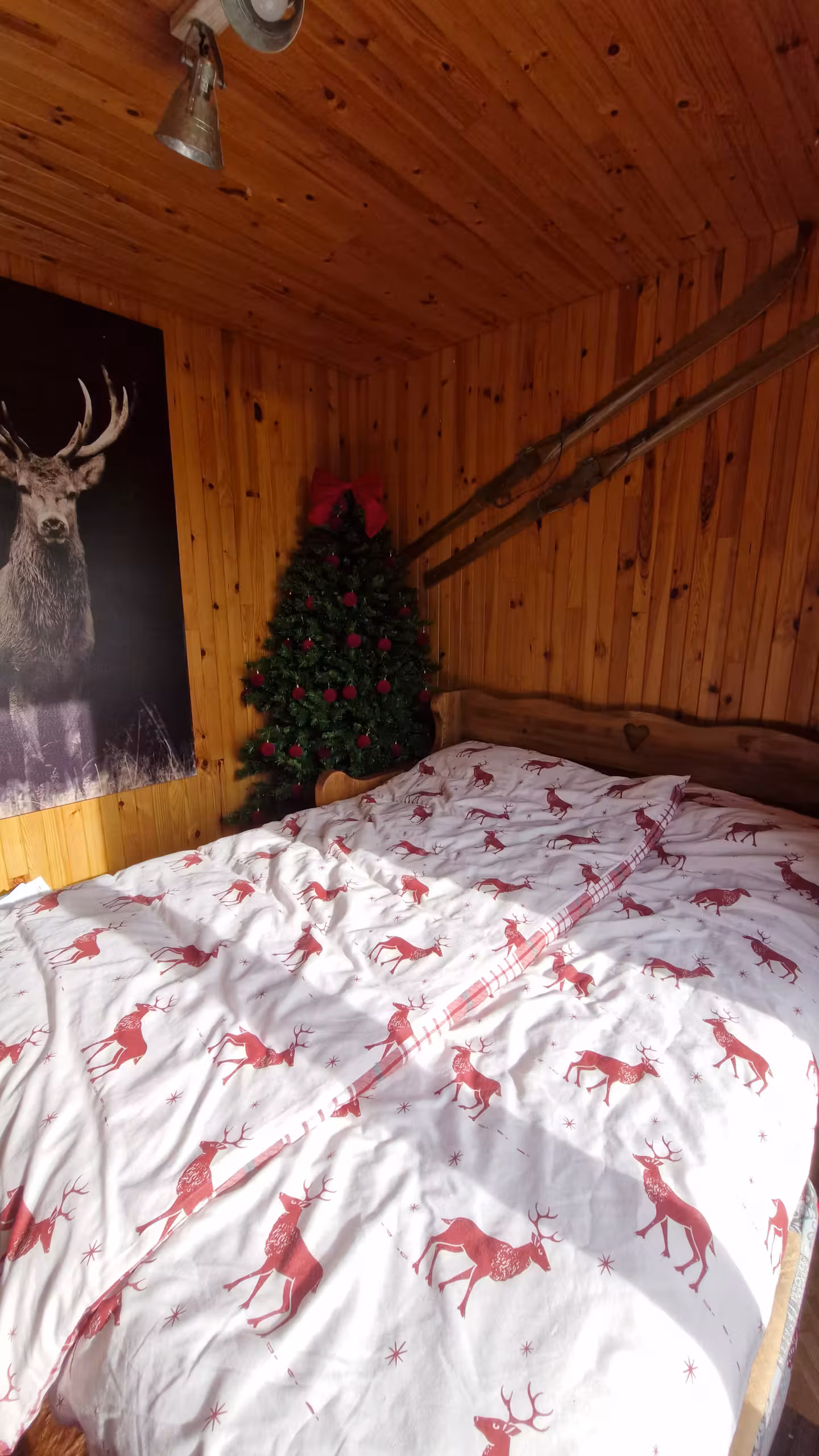  Vosges À la campagne