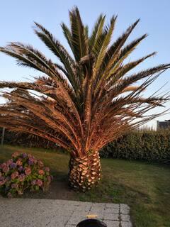 GreenGo Location Bretagne À la mer