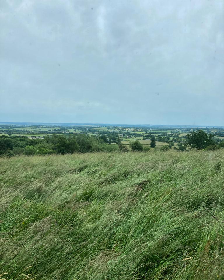 Hôte GreenGo: Le gîte du Domaine de la Fresnée - Image 6