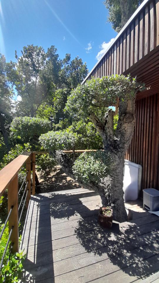 GreenGo location vacances écoresponsables