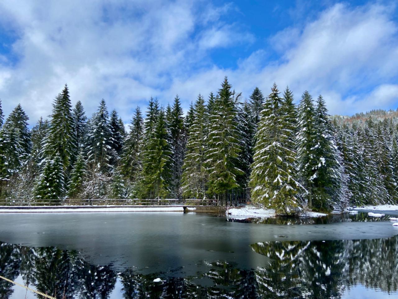 Hôte GreenGo: Appartement « Entre lacs et sapins » - Image 29