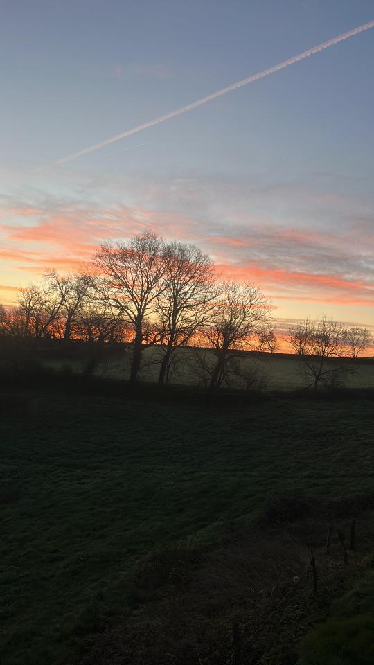 Carte cadeau GreenGo