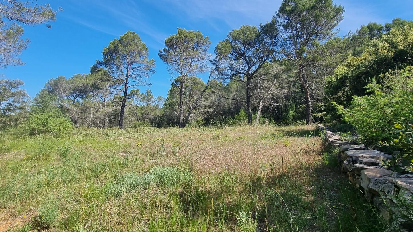 GreenGo location vacances écoresponsables