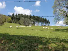 Hôte GreenGo: La maison de Caroline - Image 14