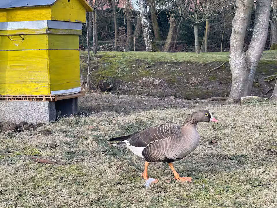 GreenGo location vacances écoresponsables