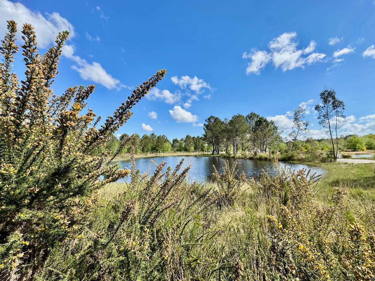 Logement GreenGo: Roulotte Flor - Image 9