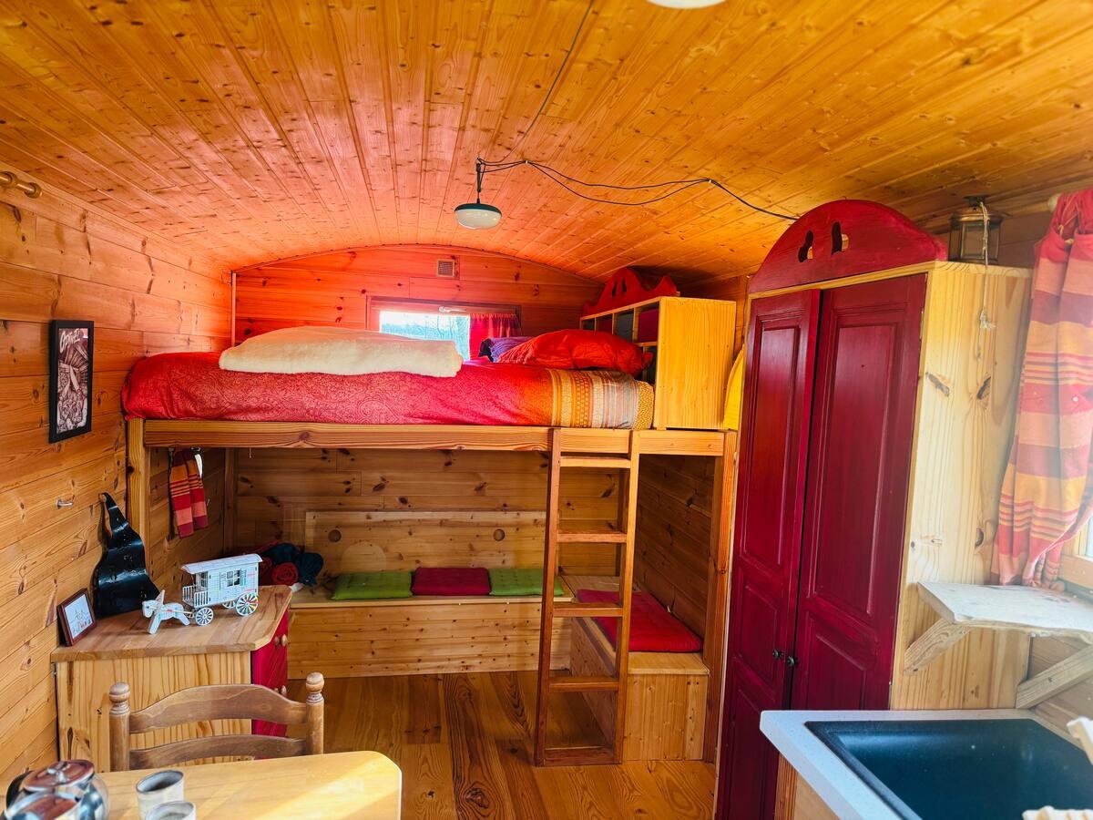 Carte cadeau GreenGo