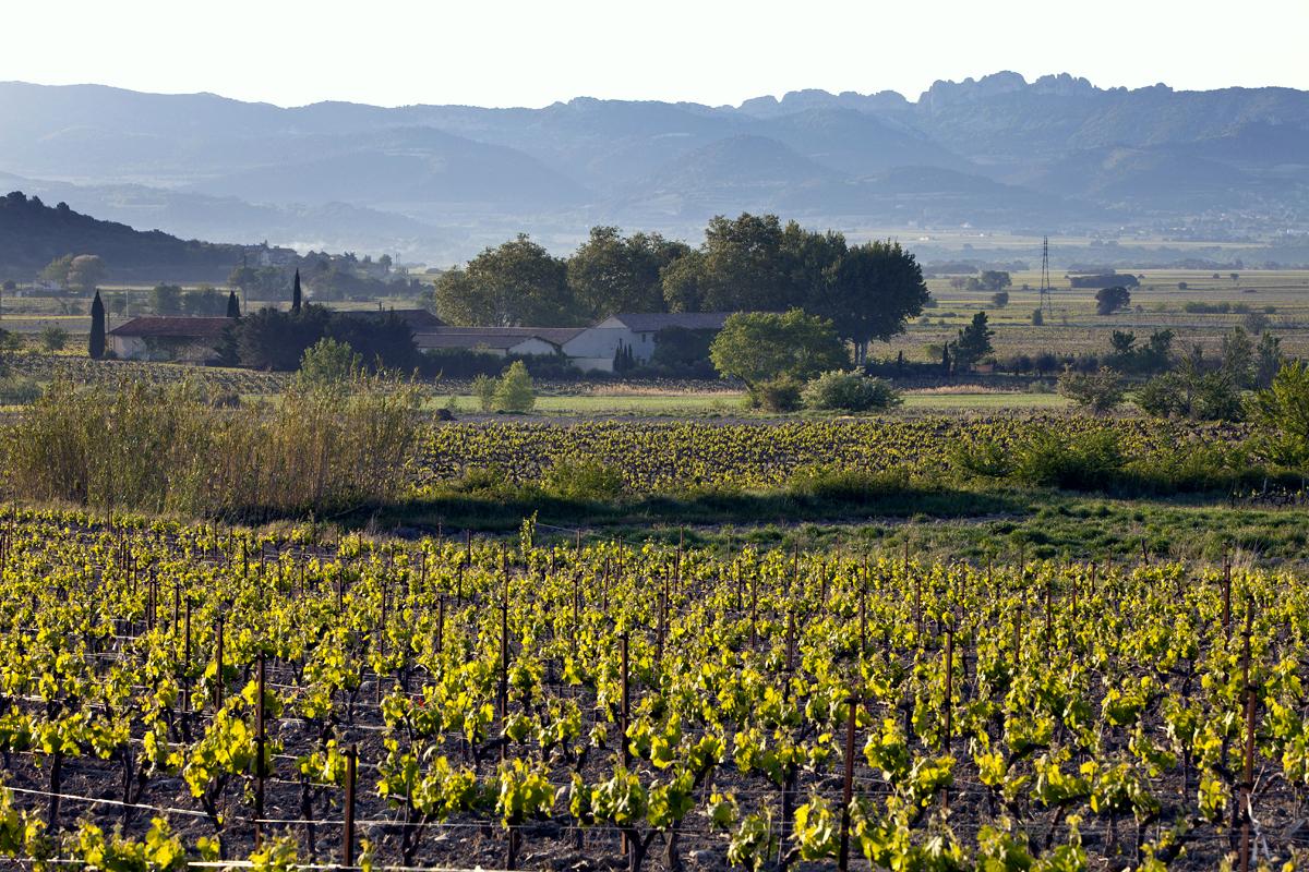 Hôte GreenGo: Petit Mas - Image 9