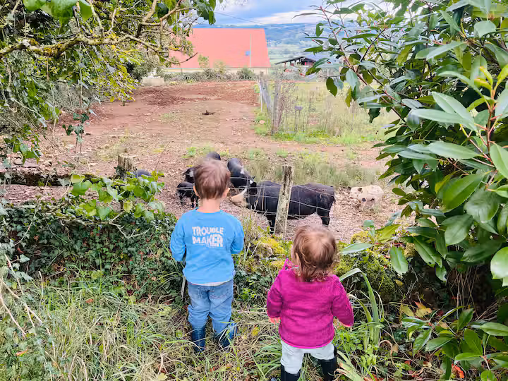 Carte cadeau GreenGo