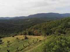 Carte cadeau GreenGo