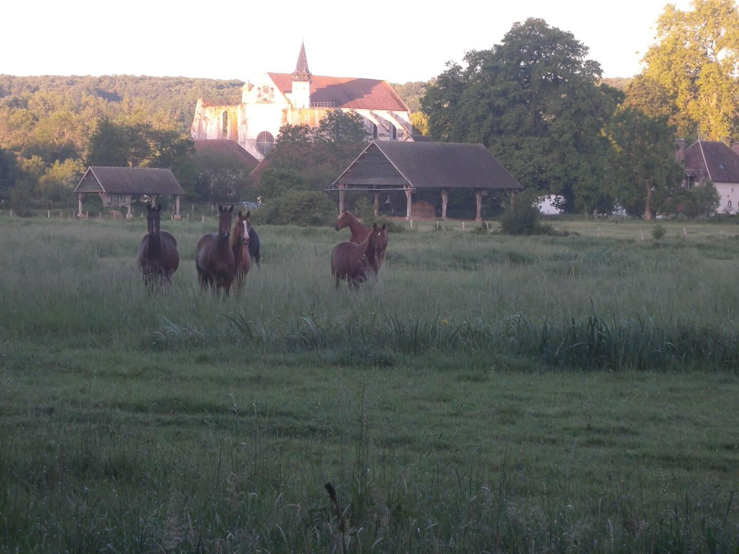 GreenGo Chambre d’hôtes Centre-Val de Loire Évasion