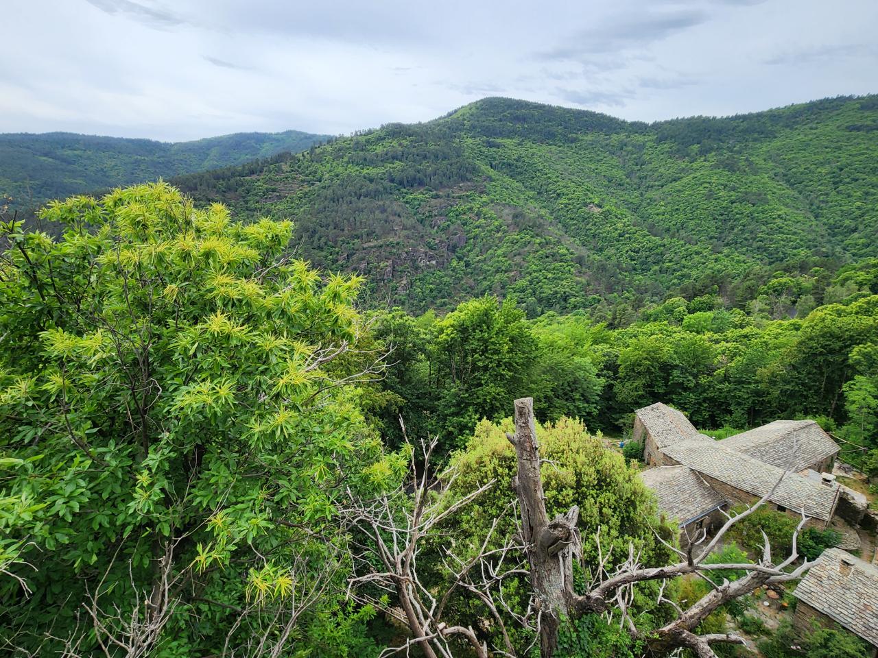 GreenGo Lou Bissac Mas traditionnel Cévenol
