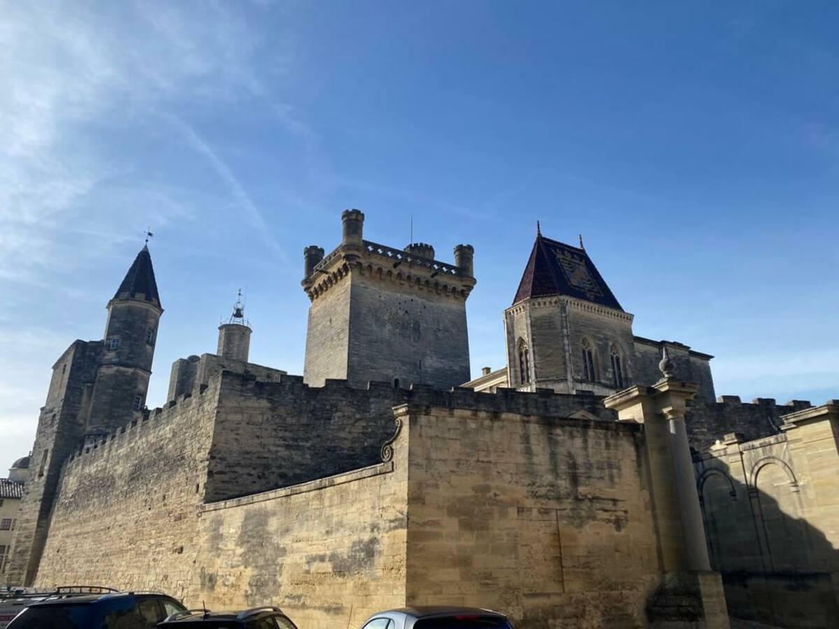 Logement GreenGo: Gardon la chambre - chez l'habitant à 10 minutes d'UZES, aux portes de la réserve naturelle du Gardo - Image 10