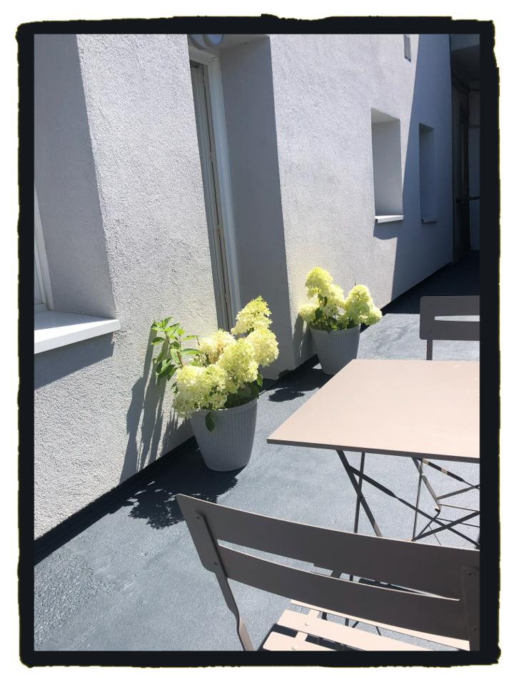 GreenGo location vacances écoresponsables