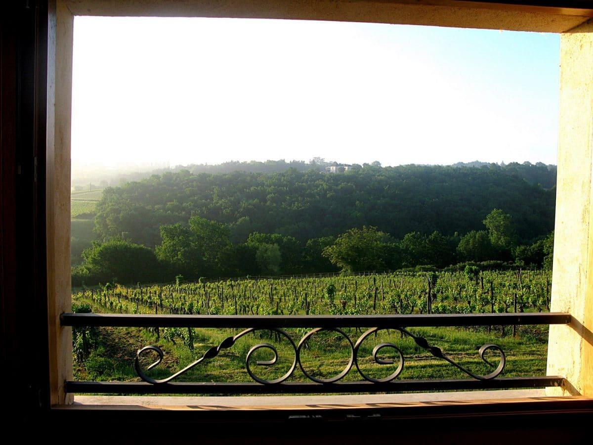 Logement GreenGo: Wine Lodge - Image 10