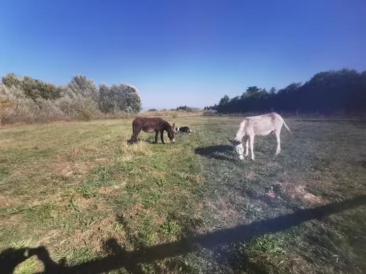 GreenGo La maison de vacances du Vaucluse
