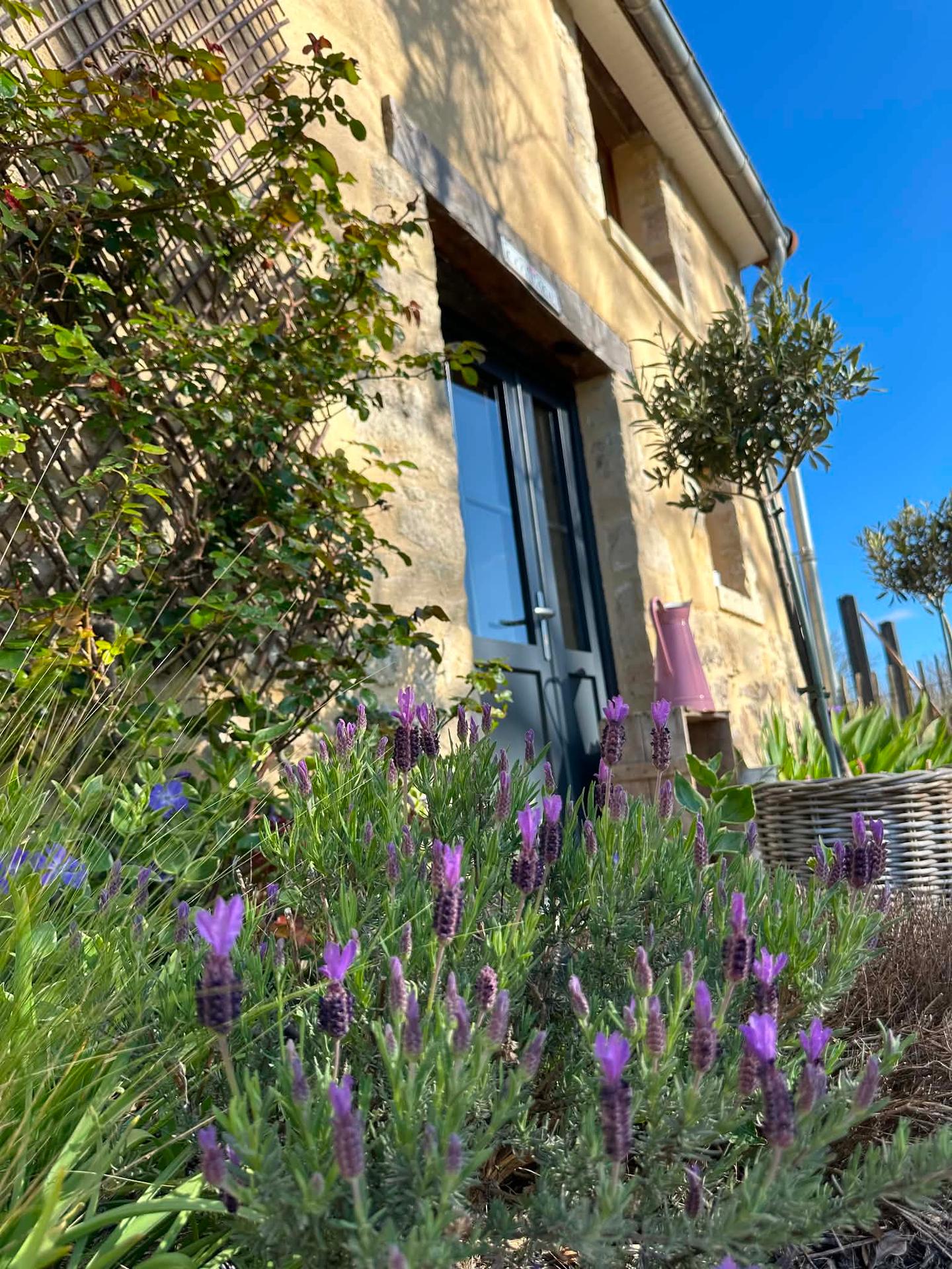Logement GreenGo: Cottage aux roses