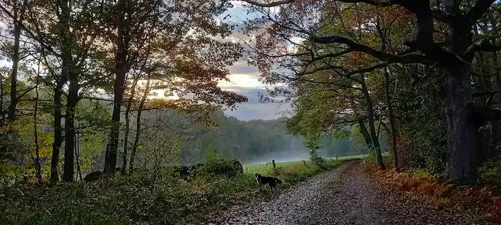 Hôte GreenGo: Ferme de Bellevue - Image 22