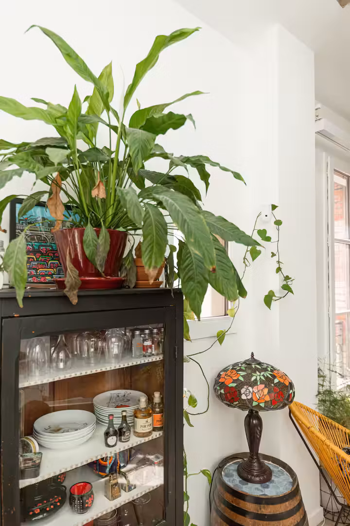 GreenGo location vacances écoresponsables