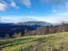 Carte cadeau GreenGo