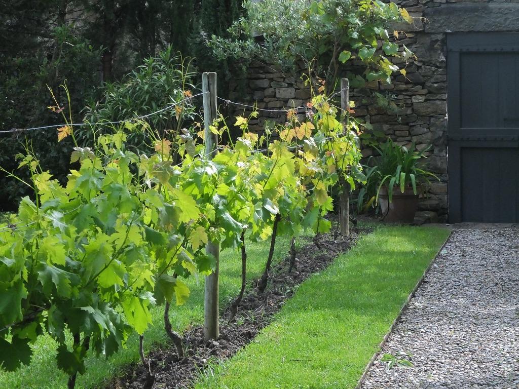  Aude Haut-de-gamme