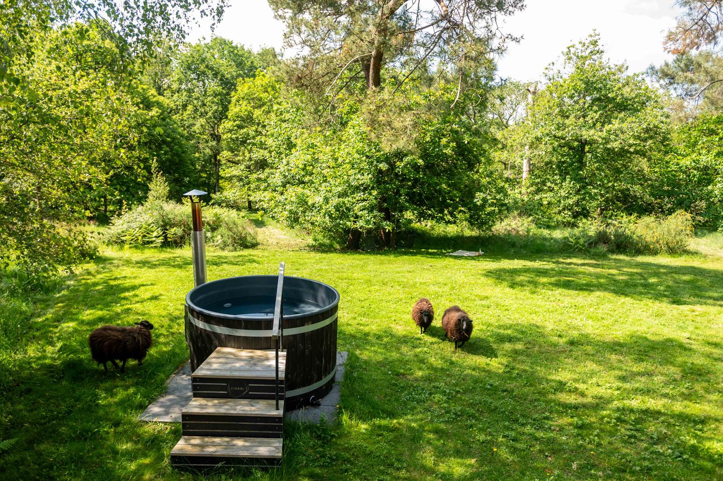 Hôte GreenGo: Entre mer et nature -Ty Lety cottage - Bien être, ambiance Hygge. - Image 29