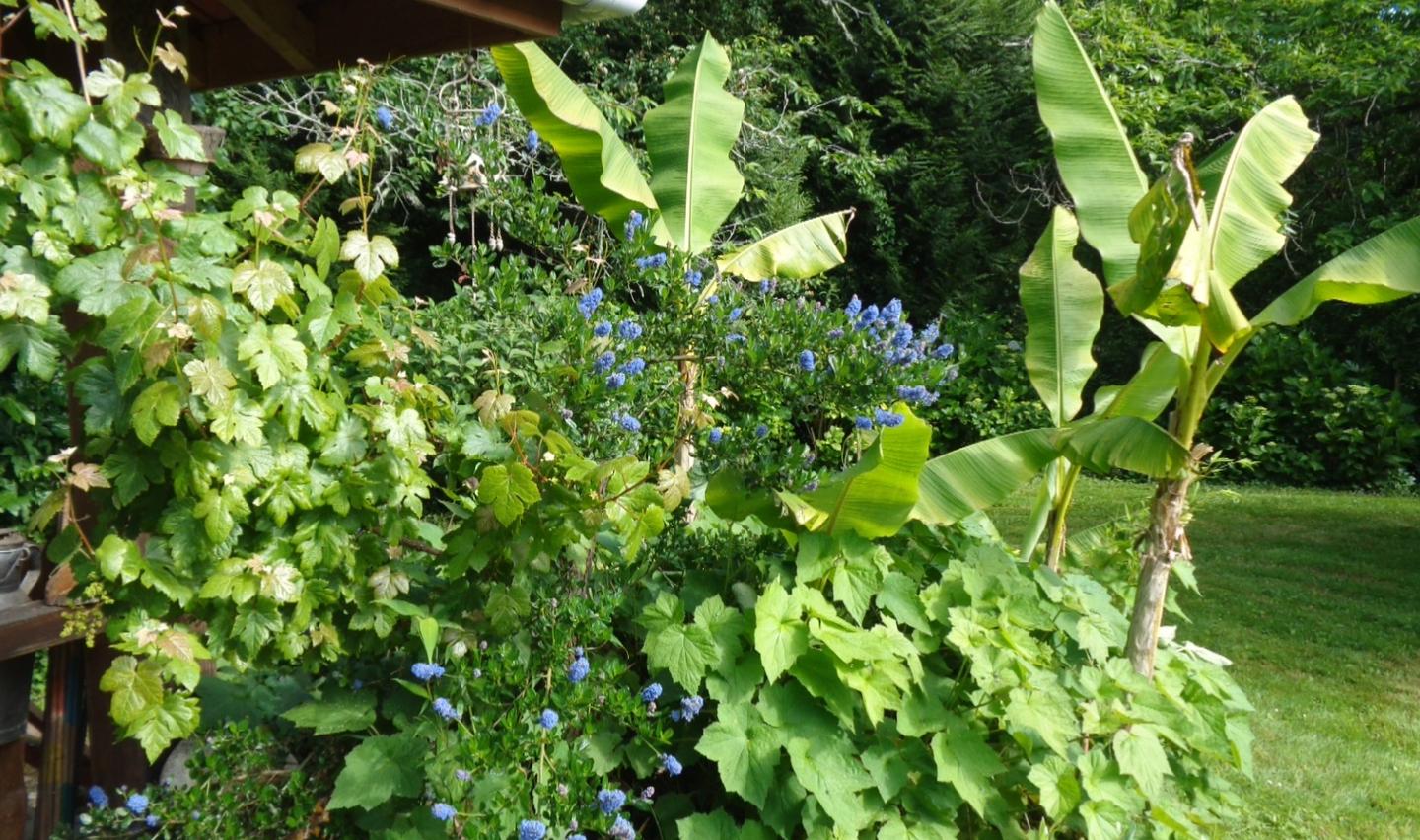 GreenGo location vacances écoresponsables