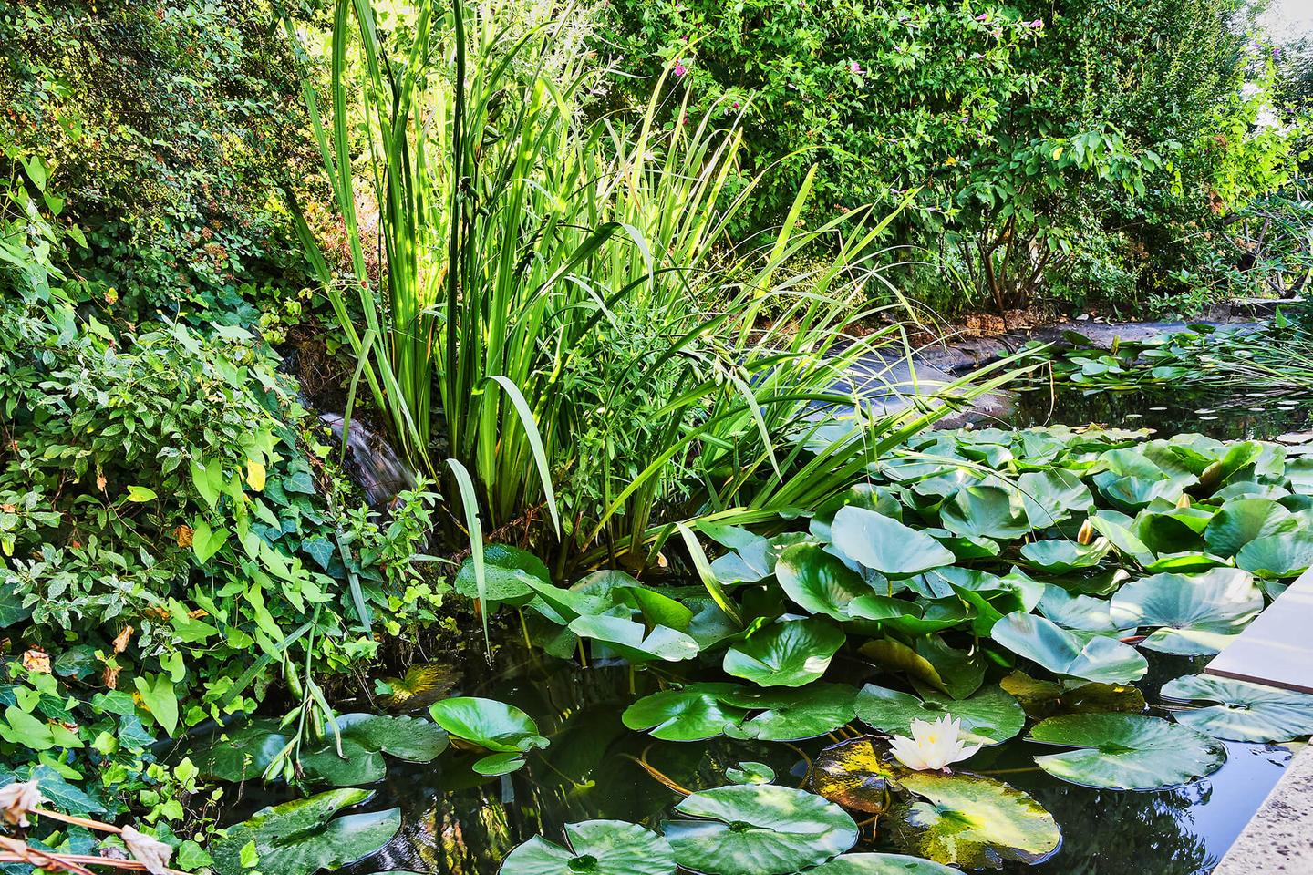 GreenGo location vacances écoresponsables
