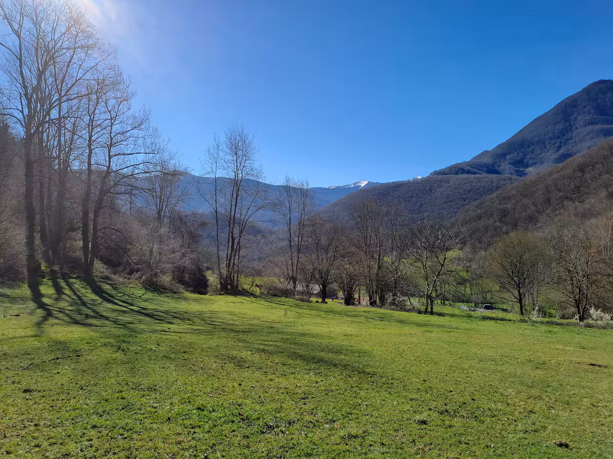 Carte cadeau GreenGo