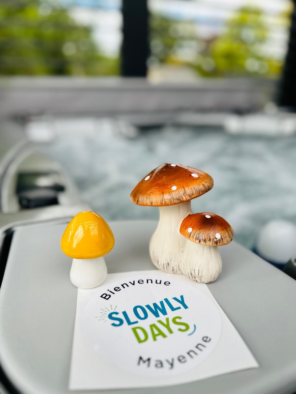 GreenGo location vacances écoresponsables