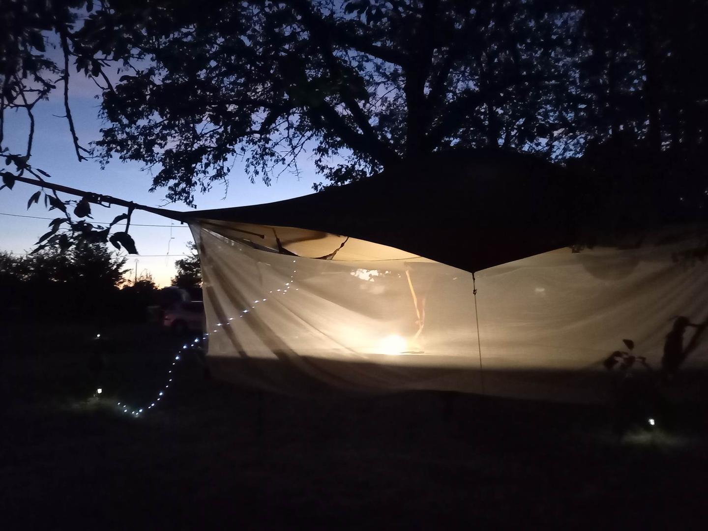 Logement GreenGo: Bus soleil avec une tente dans les arbres et une tente cocoon - Image 22