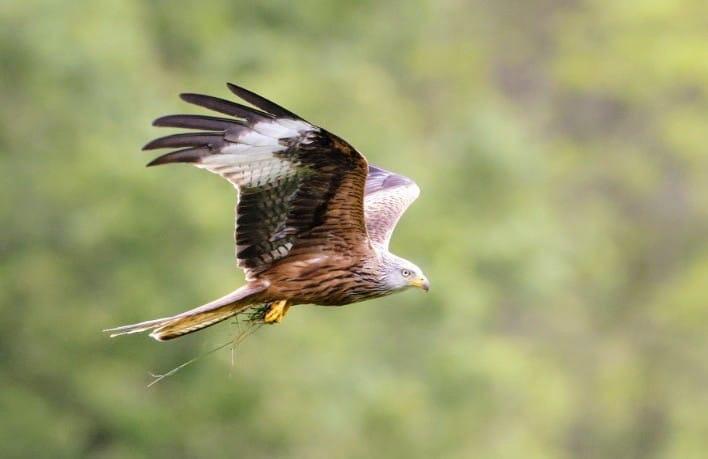 GreenGo location vacances écoresponsables